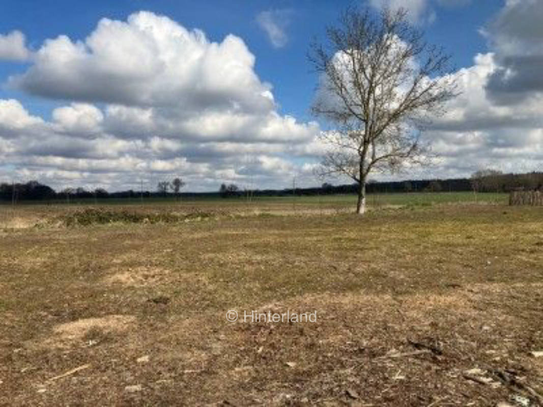 Stellplatz am Hofladen mit Ackerblick