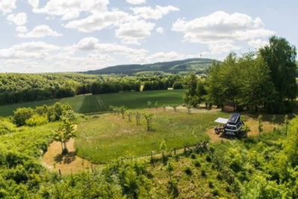 Large orchard meadow in the Weserbergland (hinterland)