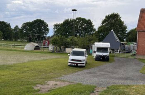 Poitou Eselweide Camping am Steinhuder Meer