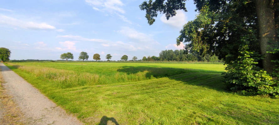 Campen im moor nahe krautsand