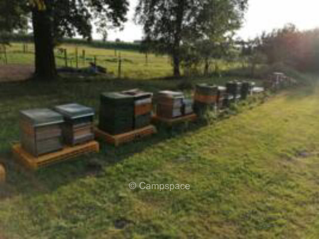 Naturcamping an der Elbtalaue