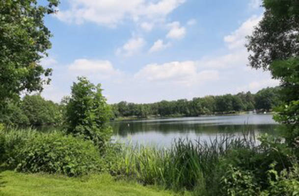 Camping in nature by the idyllic forest lake