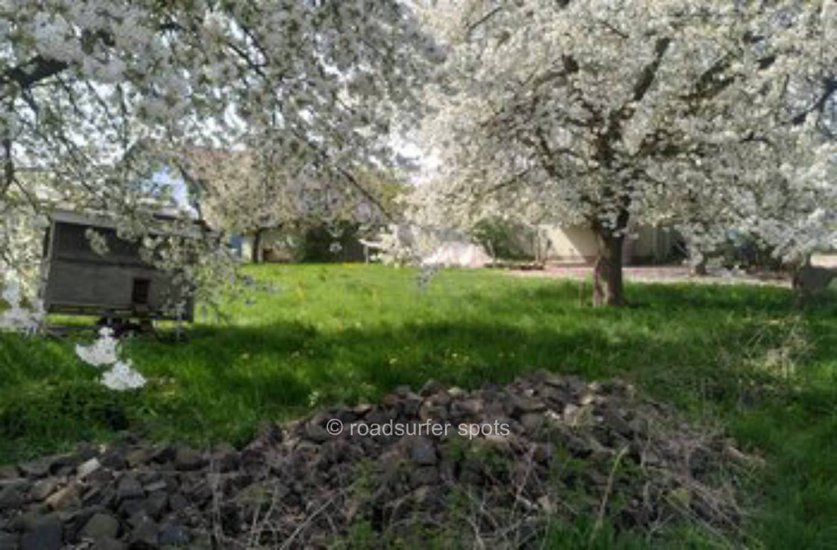 Camping Allmendewiese am Ortsrand von Holzhausen