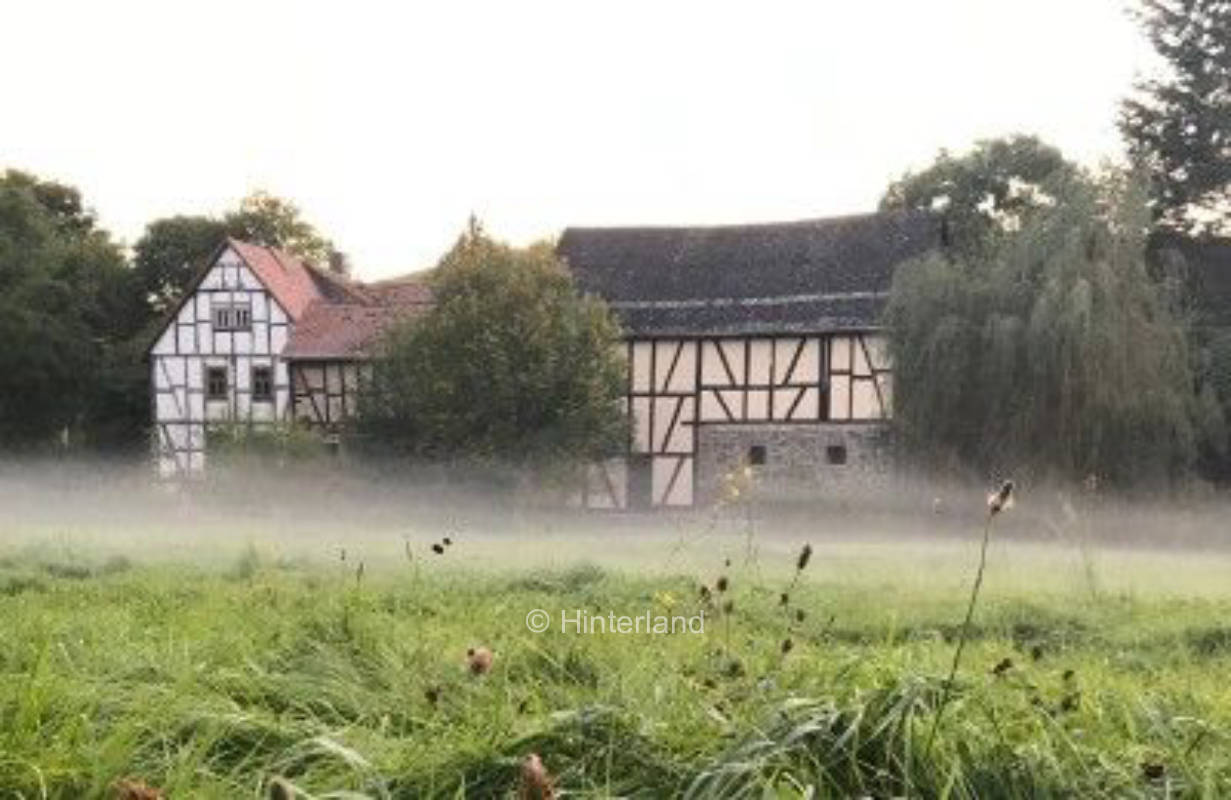 Große Wiese zwischen Wald und Mühle im Taunus