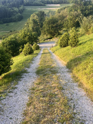 Naturnaher stellplatz mit rheintal vogesenblick
