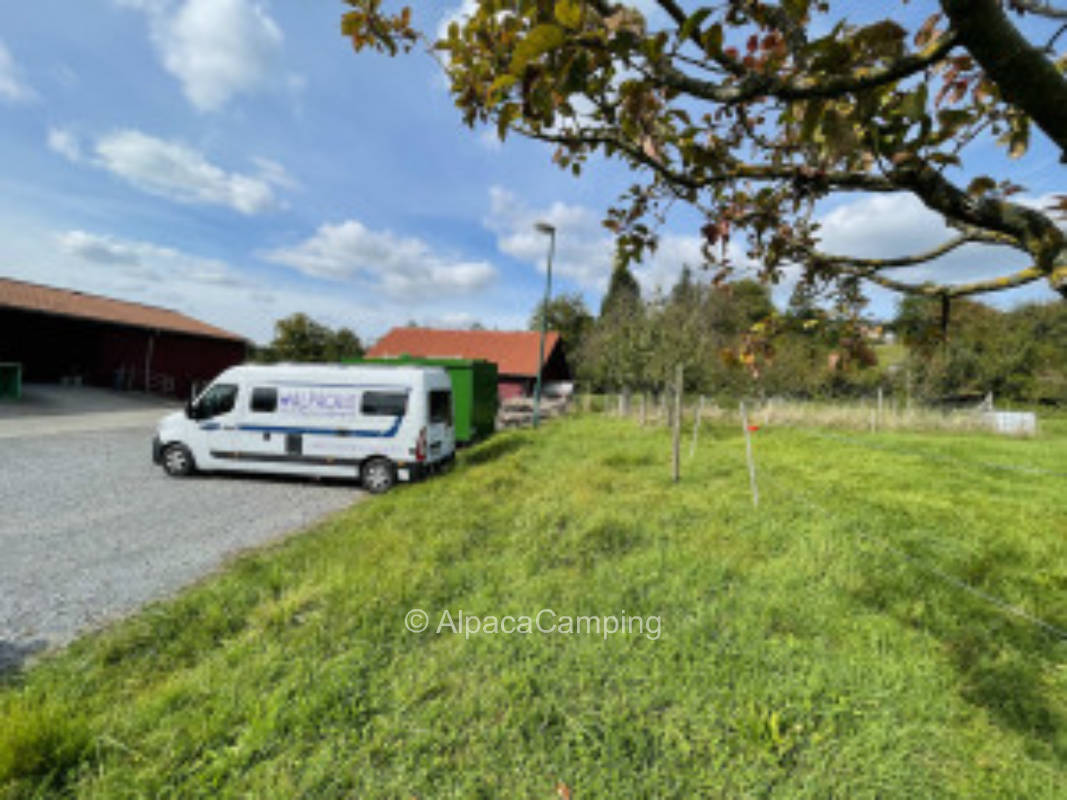 Pitch in quiet location below the vineyard Diefenbacher König #2
