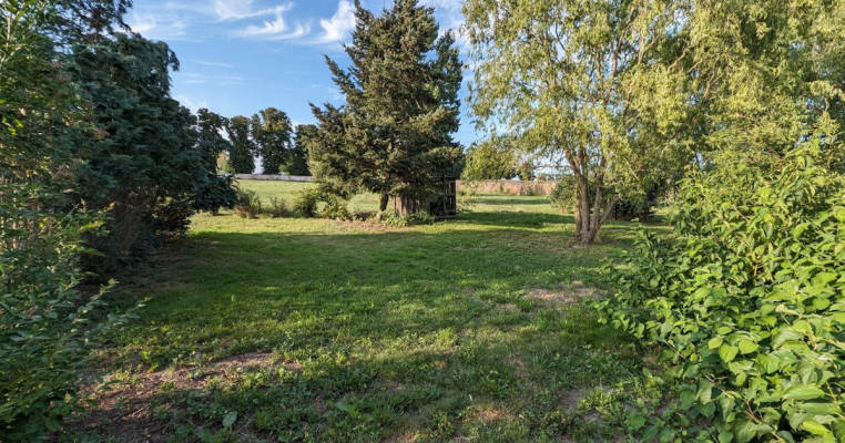 Large meadow at the farm near the lake