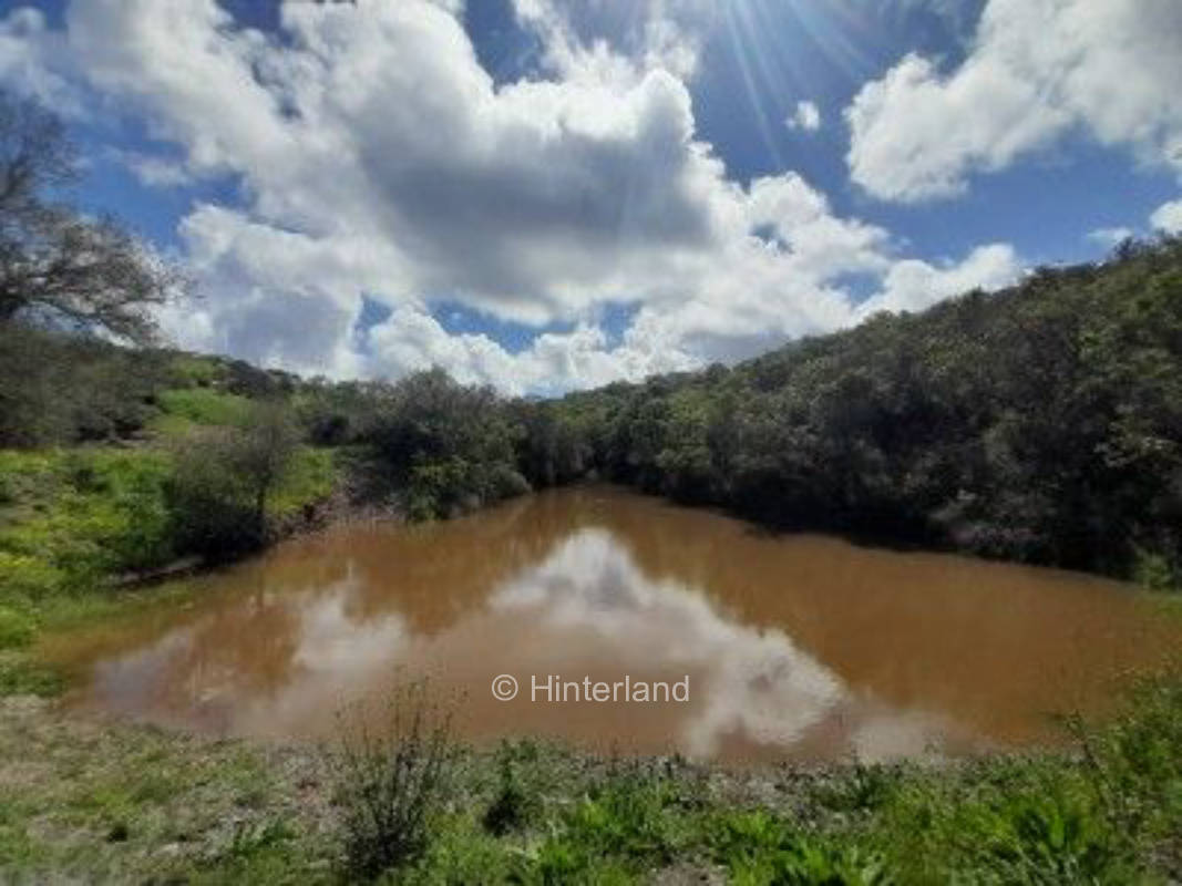 Stellplatz am Schildkrötensee in Portugal 