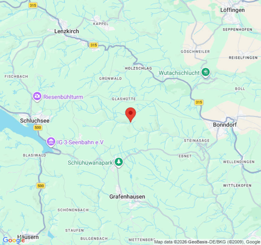 Wiesen zwischen Waldrand und Bach