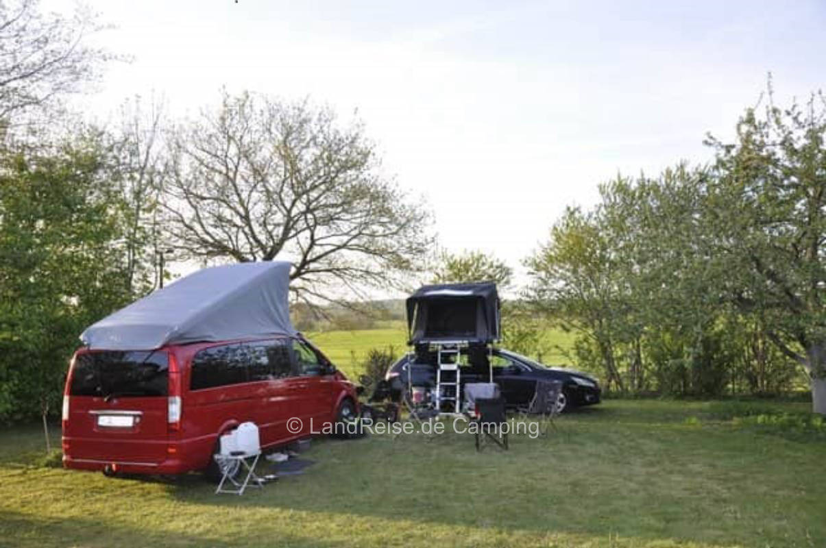 Old horse paddock next to the orchard