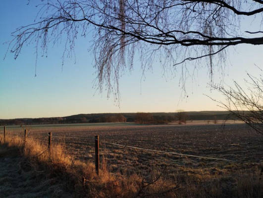 Campwiese (Campspace 27421)