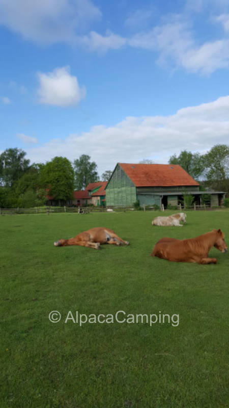 Aussicht bei der Koppel #1