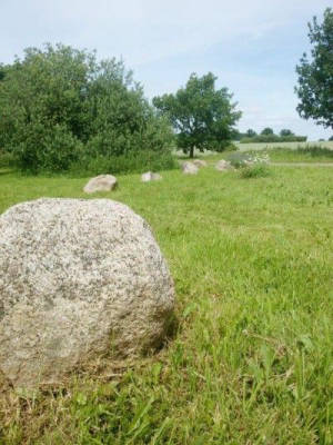 Recreation and Nature in the Orchard Meadow