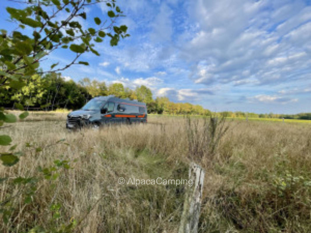 Stellplatz in der Wiese #2