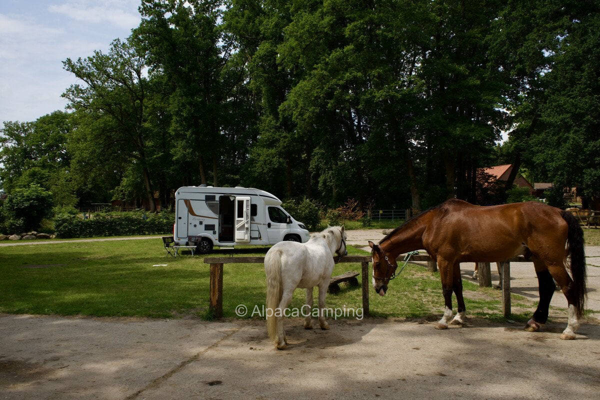 Pitch at the rider and vacation farm #1