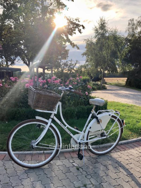 Short vacation among chickens, ponies and piglets