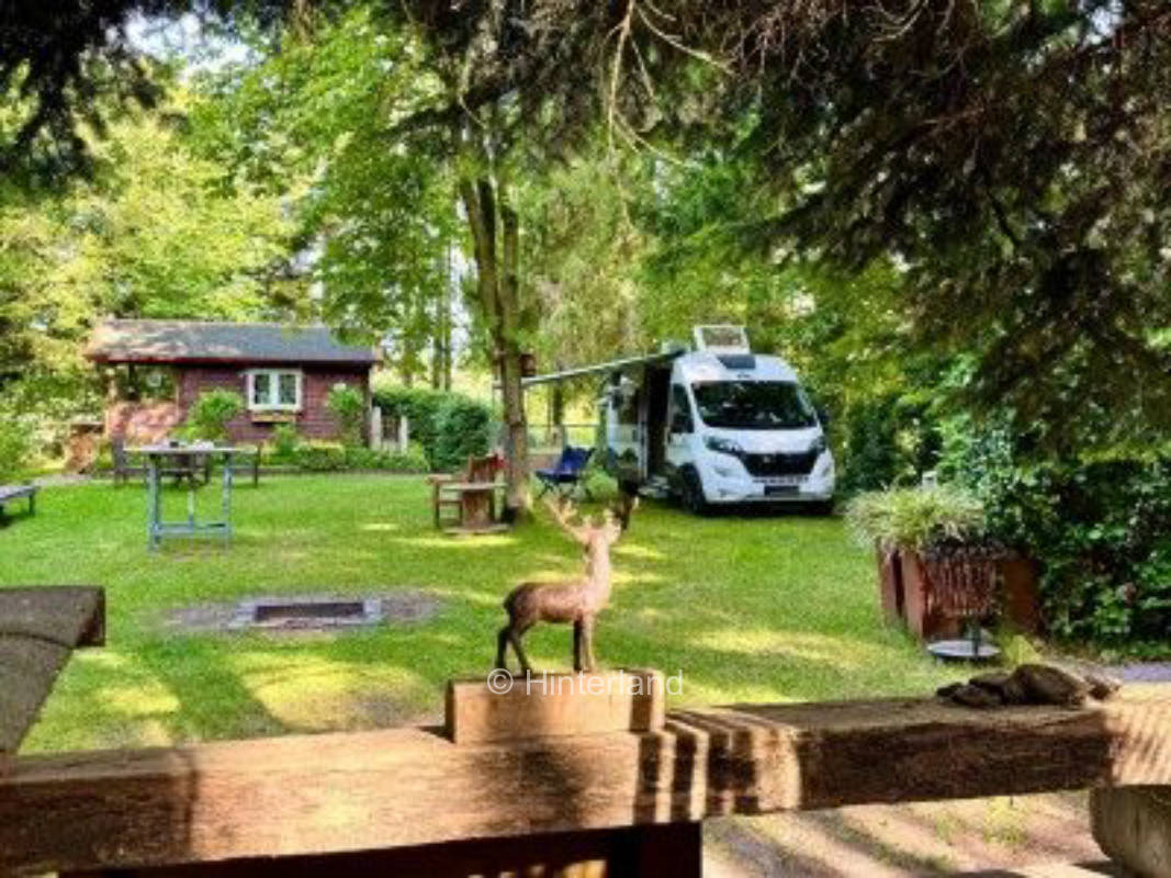 In the middle of greenery - pond, cottage, fireplace, forest