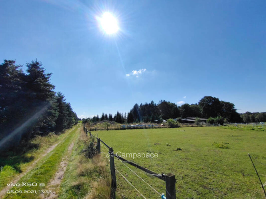 Campspace in Schneverdingen, Niedersachsen