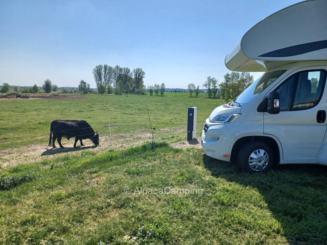 Single pitch with pasture view
