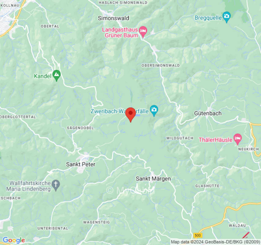 Wiese mit Blick zum Kandel