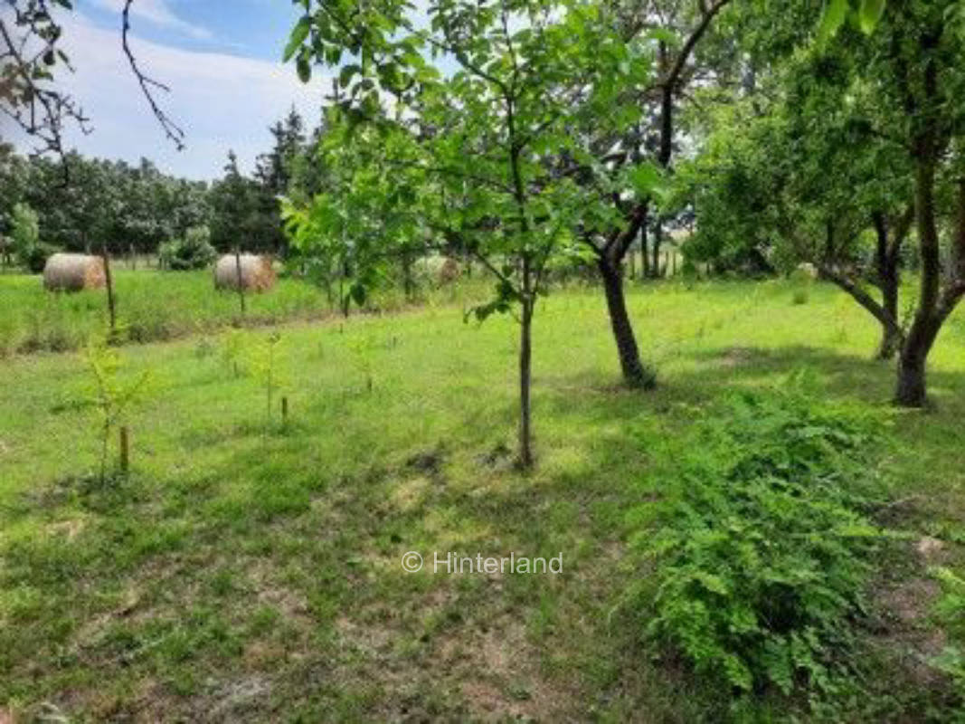 Auszeit in Ungarn - Idylle auf dem Land, privater Stellplatz