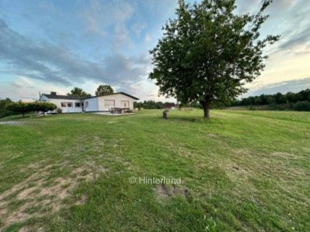 Mitten im Feld - NaturZentral