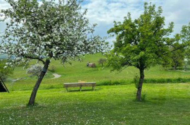Camping Nimshuscheid