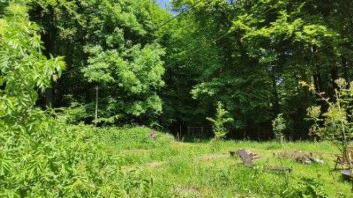 Mitten im Wald – Natur, Sauna & Sterne