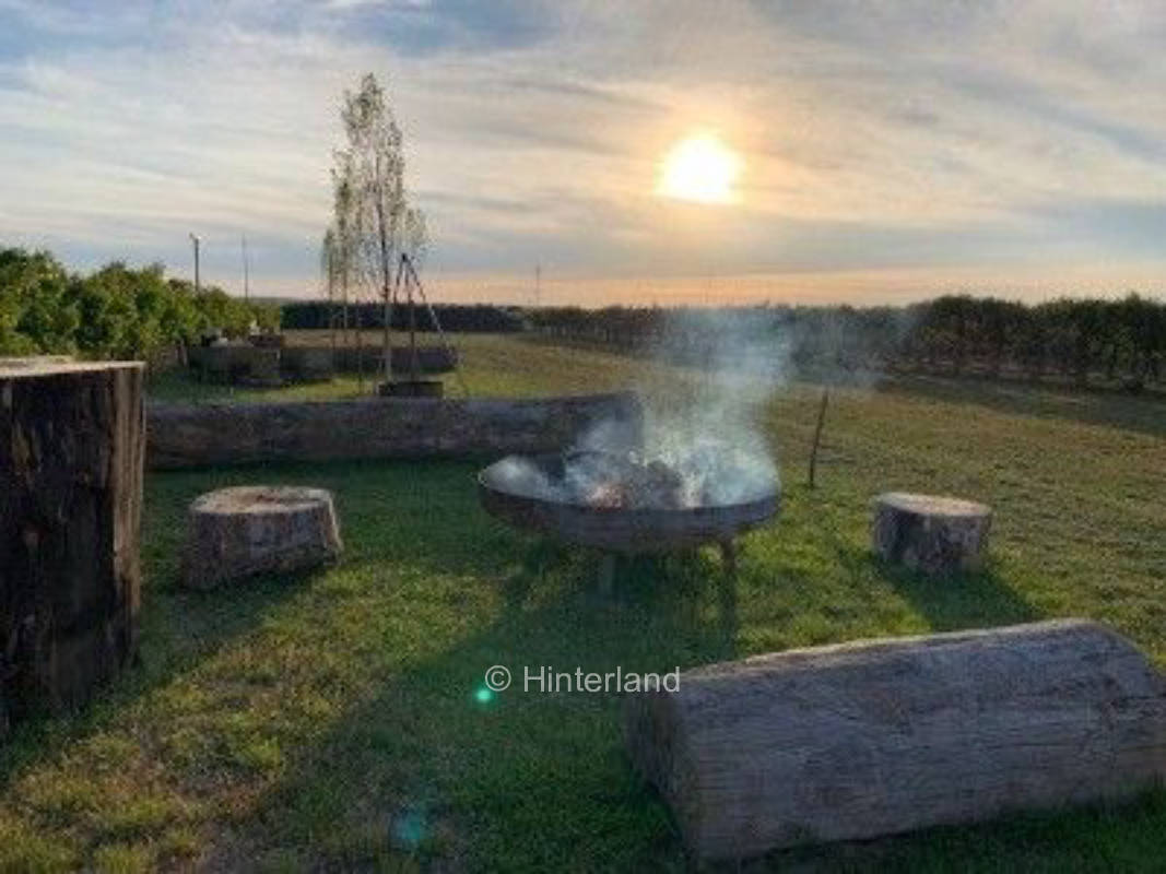 Right in the middle of the wine experience