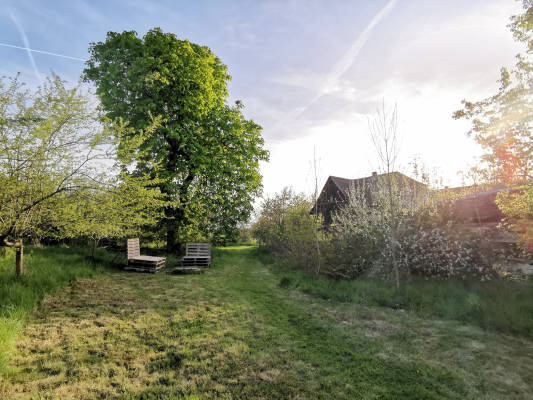 Natural camping with half-timbered view