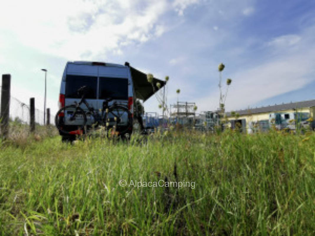 Natural pitch and campsite #1