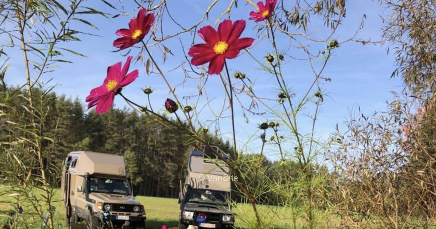 Naturidyll am Karpfenweiher