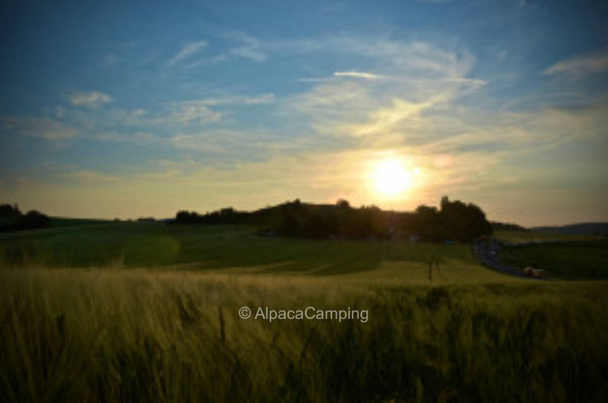 Hier entspannen die Stars unter Sternen! #2