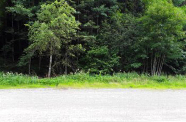 Camping an der Witticher Talstraße im Schwarzwald
