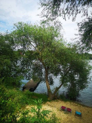Camping directly on the lake in the South Harz