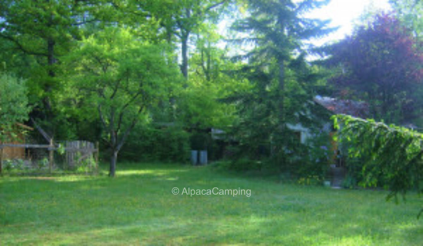 Good base for excursions - in the middle of nature