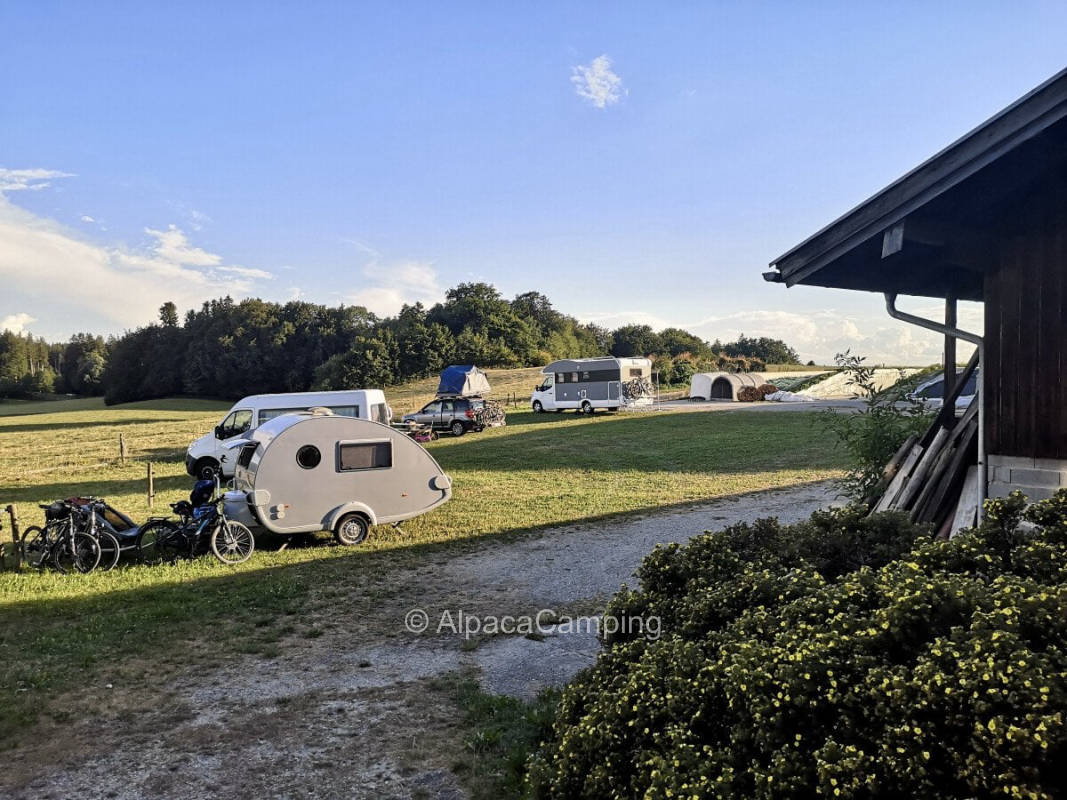 AlpacaCamping 761