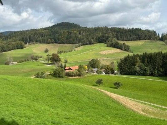 Quiet overnight spot in the Kleine Wiesental