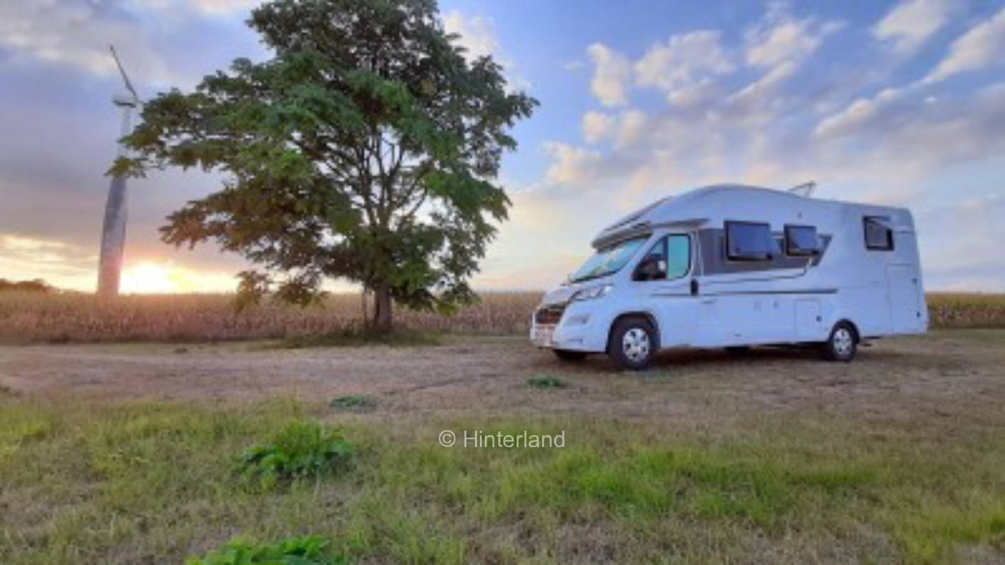 Alone on the meadow in the nowhere!