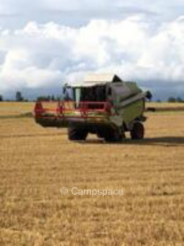 Farm camping in Münzenberg near Giessen