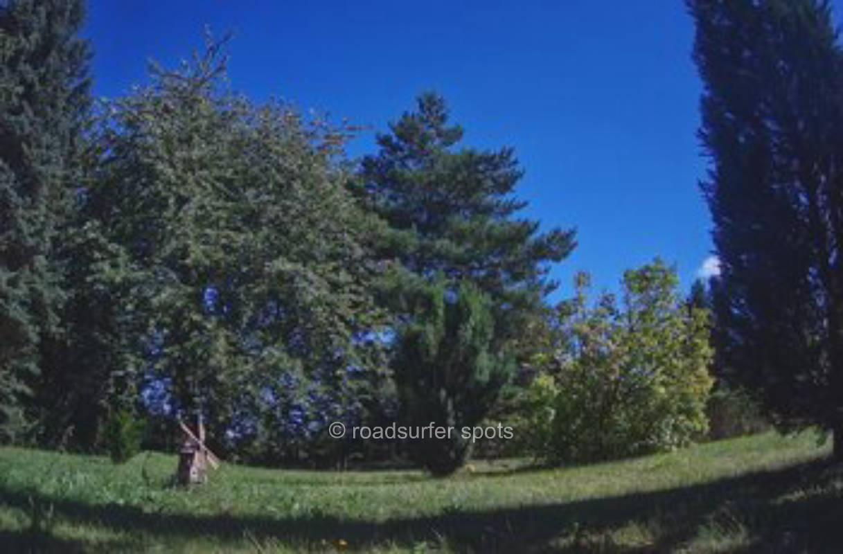 🌿Idyllischer Roadsurfer Spot: Honig & Natur pur