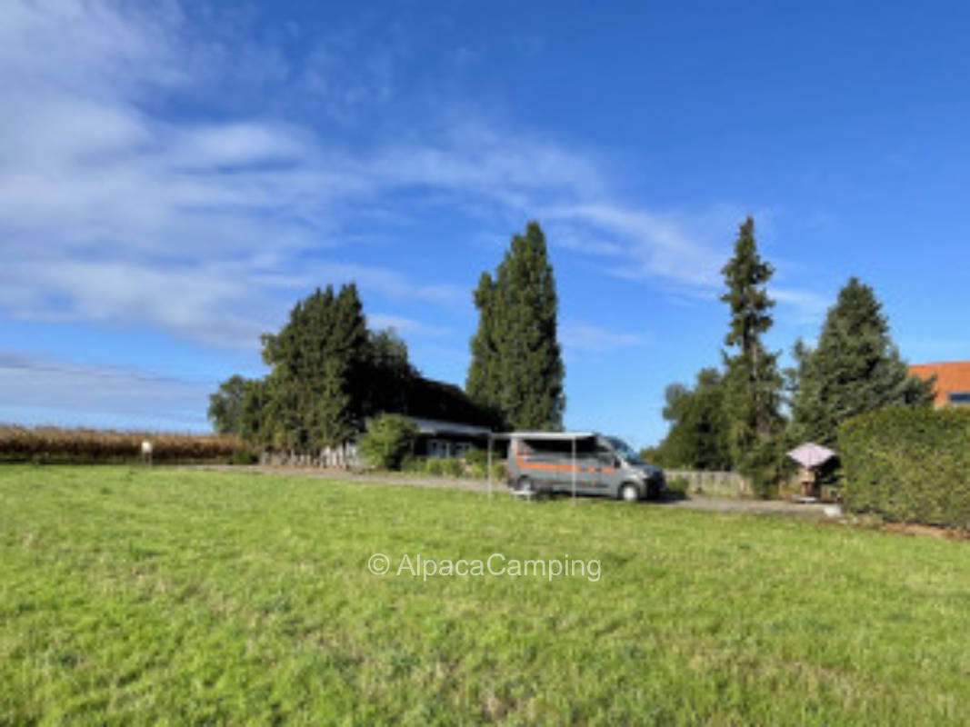 Honigtraum im grünen Recklinghausen #3