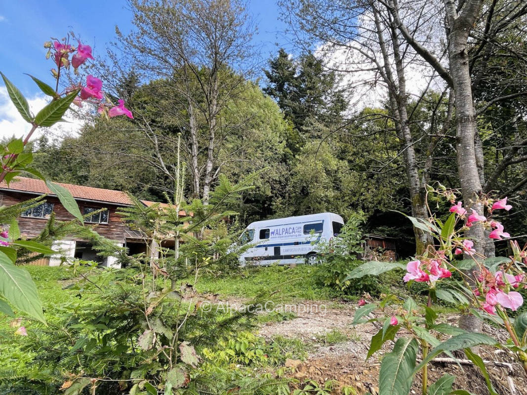 Camper site "Boarisch Kongo