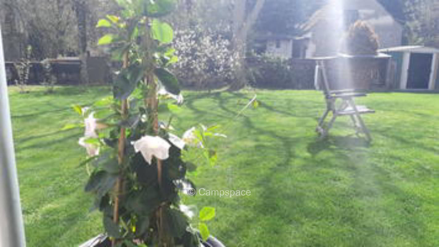 "Baldis Zeltplatz" am Senftenberger See