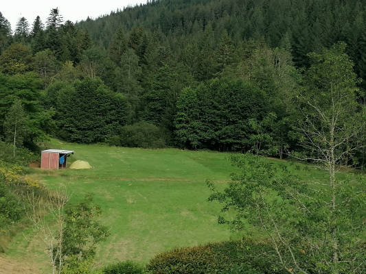 Geschutzter zeltplatz mitten im nationalpark