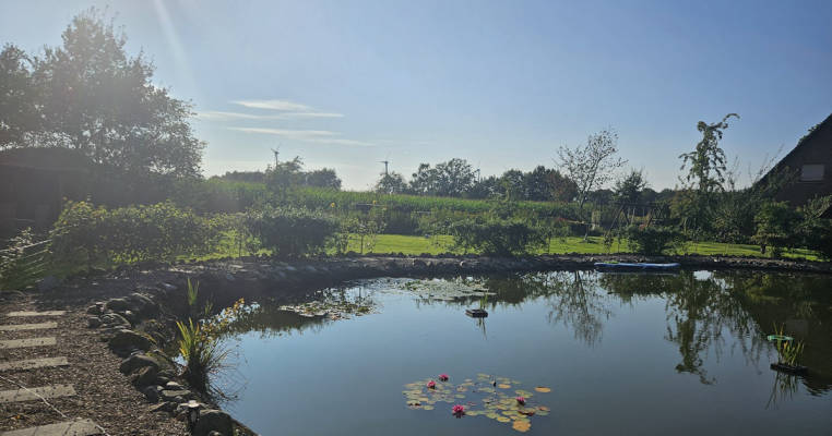 Garden camping at Frosch / Swimming pond