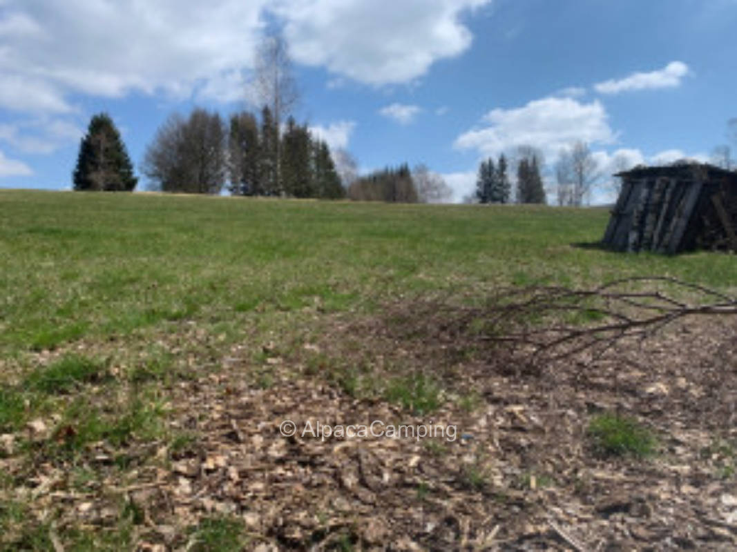 Natur & Weitblick in unvergleichbarer Lage "Eingang"