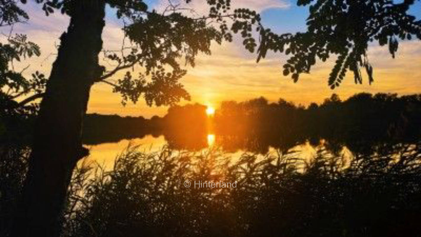 Stellplatz am Kiefernwald 