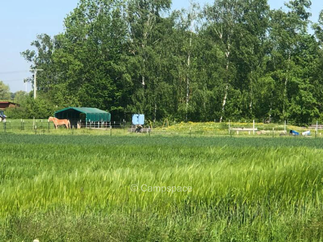 Campspace in Mainbernheim, Bayern