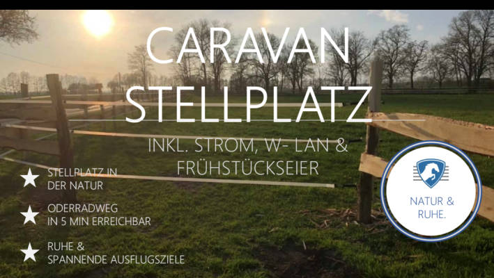 Platztyp für 6 Personen (Campspace 29654)